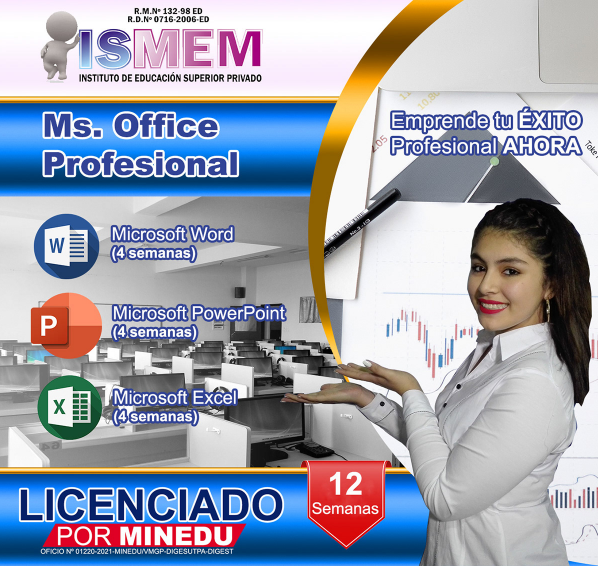 ms office profesional
